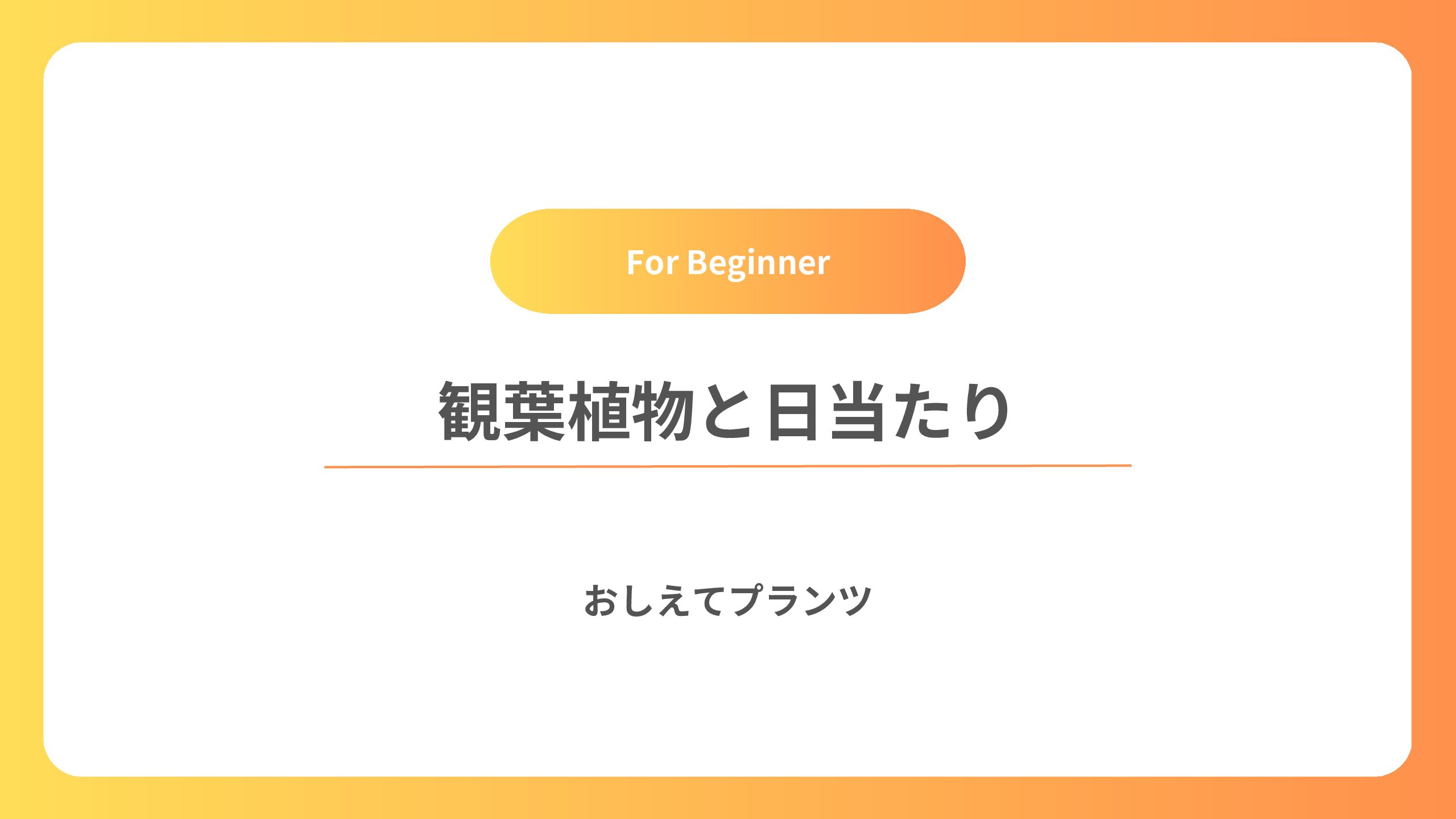 観葉植物に日当たりが大事な理由